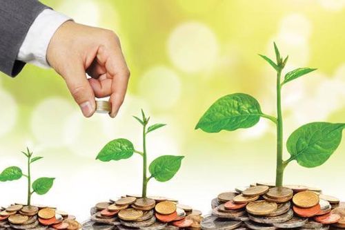 IFC đề xuất hỗ trợ, hợp tác trong tín dụng xanh và quản lý rác thải điện tử