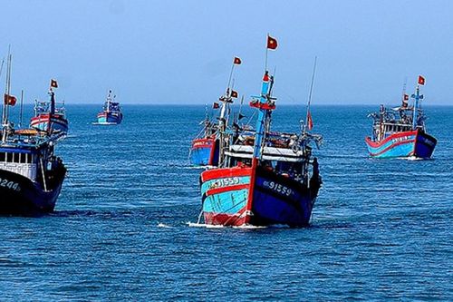 Công bố khu neo đậu tránh trú bão cho tàu cá