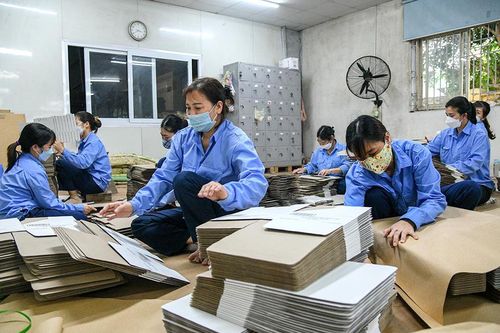 Hơn 550 tỷ đồng hỗ trợ lao động tỉnh Đồng Tháp gặp khó khăn do Covid-19