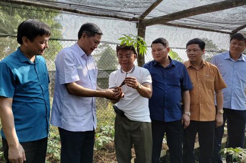 Sơn La kiểm tra tiến độ một số dự án, cơ sở sản xuất
