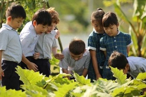 Đông Nam Á: Xu hướng học trường Tây tại 'sân nhà'