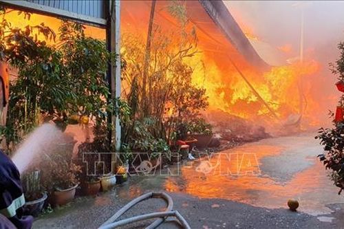 Đồng Nai: Khẩn trương điều tra về vụ cháy tại trường tiểu học khiến 1 người chết