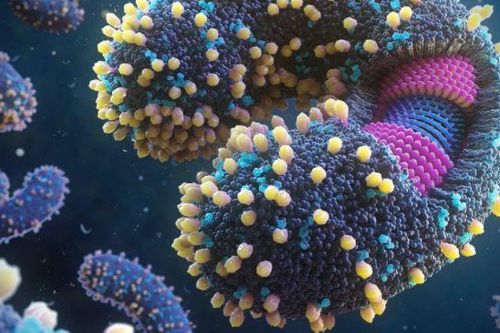 Thấy 5.500 loài virus mới ẩn trong đại dương, chuyên gia tiết lộ mục tiêu 'không đơn giản'