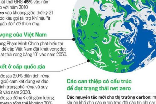 McKinsey khuyến nghị 5 ưu tiên cho hành trình phi carbon hóa ở Việt Nam