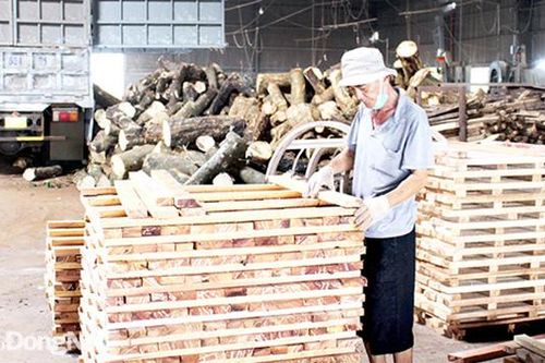 Đẩy mạnh ứng dụng truy xuất nguồn gỗ hợp pháp