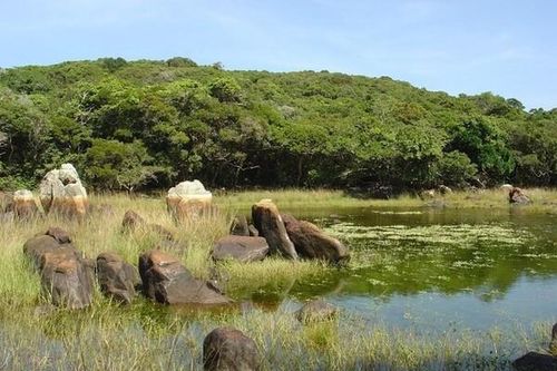 Núi Chúa (tỉnh Ninh Thuận) chính thức trở thành Khu dự trữ sinh quyển thế giới