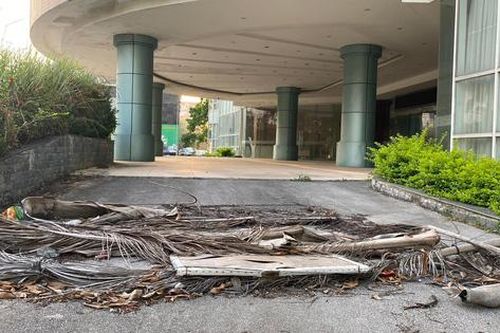Khách sạn đẳng cấp xứ Thanh một thời thành nơi trú ngụ của mèo hoang