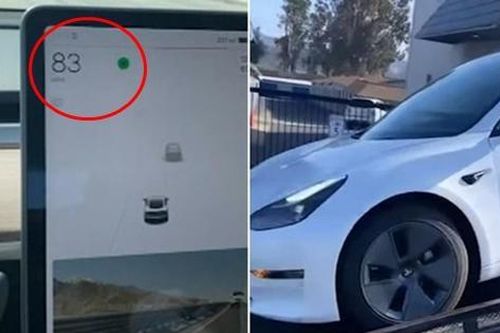 Hệ thống điều khiển xe Tesla bị 'lag' khiến xe cứ chạy 133km/giờ, tài xế muốn tụt huyết áp