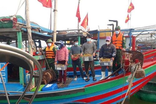 Khai thác hải sản trái phép gần bờ vẫn diễn biến phức tạp
