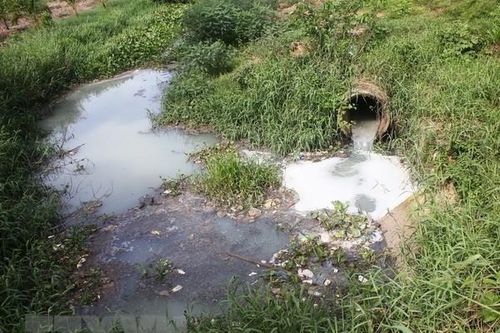 Đắk Nông: Xả thải gây ô nhiễm, một hộ dân bị phạt hơn 250 triệu đồng