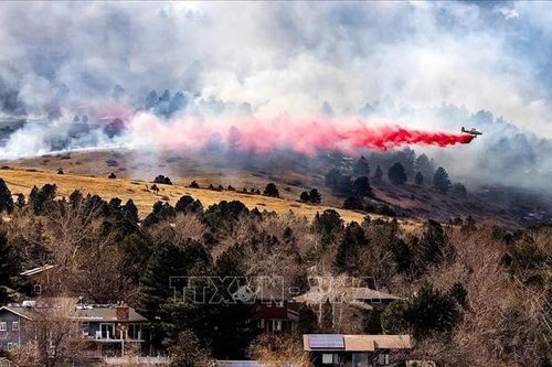 Cháy rừng dữ dội tại New Mexico, Mỹ