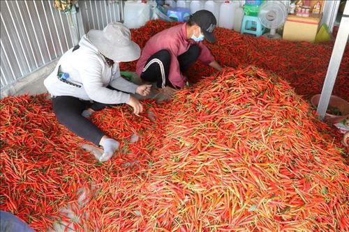 Xây dựng thương hiệu nông sản, gia vị Việt bằng sản phẩm chế biến