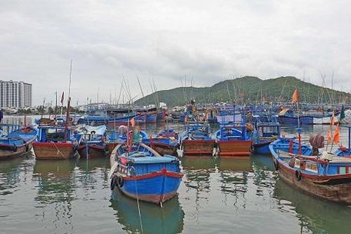 Quy hoạch cảng cá: Không chỉ là nơi 'cá lên bờ', cần hướng tới phát triển du lịch