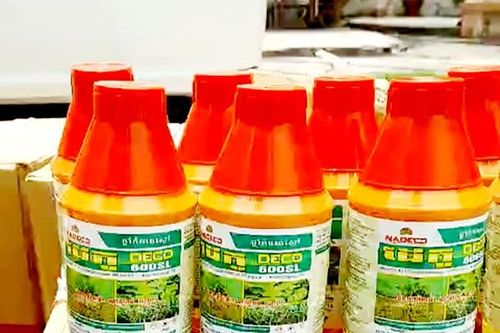 An Giang: Bắt quả tang xe ô tô chở thuốc bảo vệ thực vật chứa hoạt chất cấm