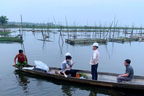 Cá lồng chết bất thường, người dân thiệt hại hơn 1,2 tỷ đồng