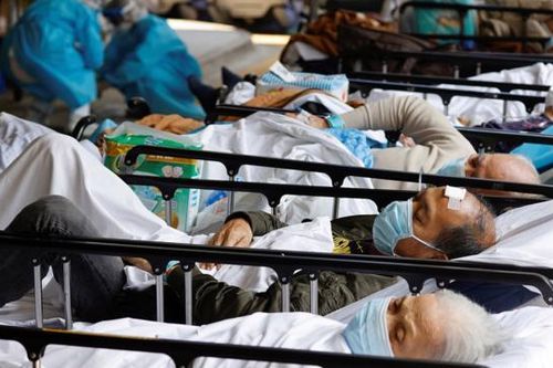 Thế giới đã có hơn 500 triệu ca nhiễm và 6,5 triệu ca tử vong do Covid-19