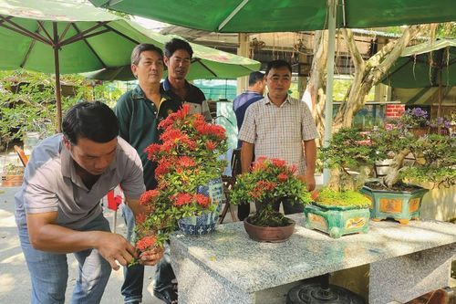 Nơi giao lưu những người đam mê sinh vật cảnh