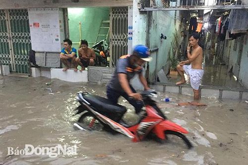Hơn 1.200 học sinh phải nghỉ học vì nước ngập vào trường