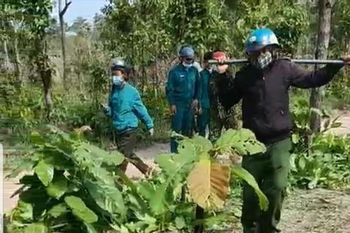 Tổng cục Lâm nghiệp vào cuộc vụ nhân viên bảo vệ rừng bị hành hung