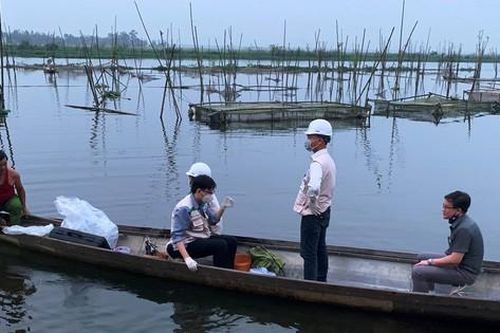 Thừa Thiên Huế: Hàng chục tấn cá lồng bất ngờ chết hàng loạt, dân 'khóc ròng'