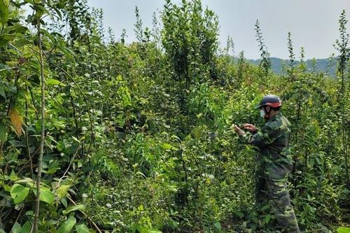 Phát hiện thi thể người đàn ông sau 9 ngày mất tích