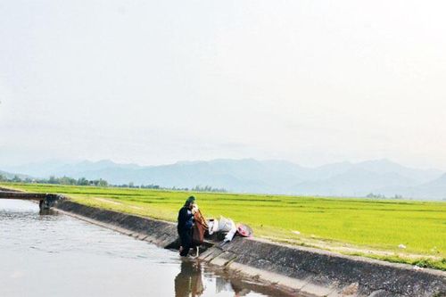 Hiệu quả từ thủy lợi ở vùng cao Tây Bắc