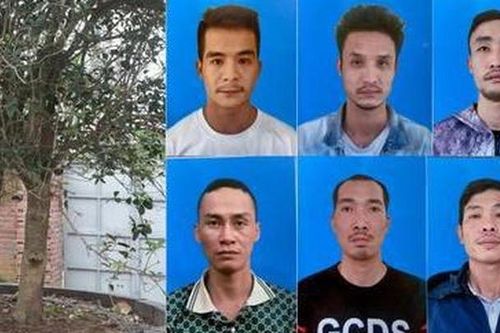 Bắt nhóm đạo tặc chuyên trộm cây cảnh giá trị cao tại đình, chùa