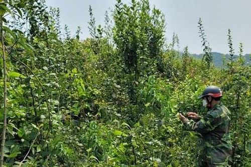 Sau 9 ngày mất tích, thi thể người đàn ông đã phân hủy được phát hiện trên rẫy