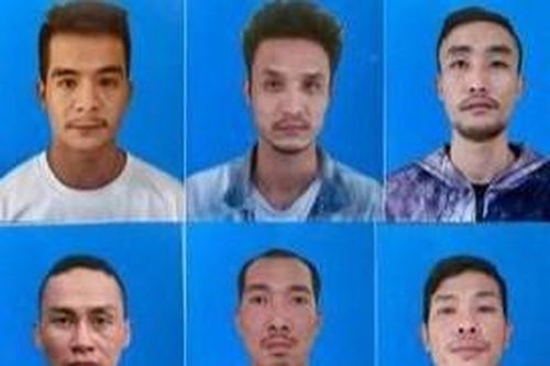 Triệt phá ổ nhóm chuyên trộm cây cảnh tại các đình, chùa