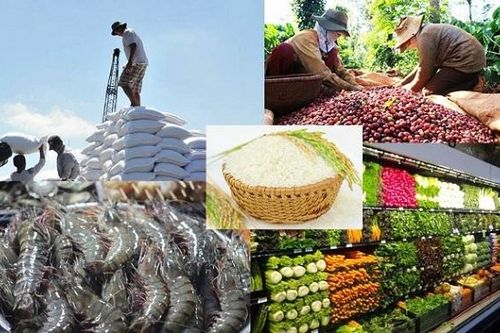 Tìm cách đưa nông sản, thực phẩm Việt tiếp cận thị trường tiềm năng Algeria