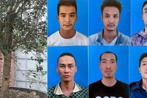 Đột nhập vào những nơi thờ tự trộm cắp cây cảnh trị giá hàng tỷ đồng