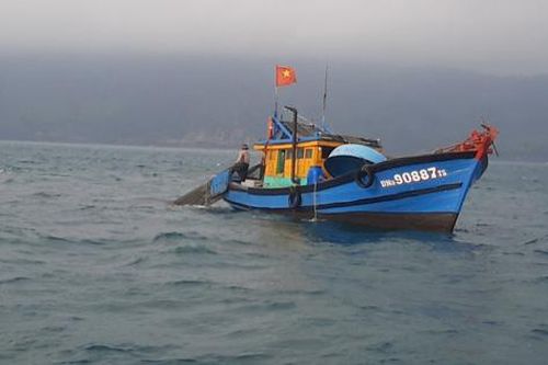 Thừa Thiên Huế: Bắt giữ tàu giã cào khai thác tận diệt hải sản