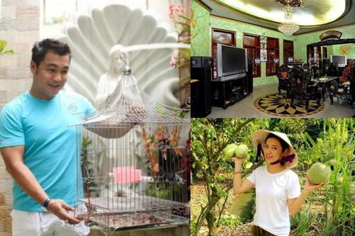 Biệt thự bề thế của sao Việt từng nhận cát-xê cả 'lon vàng'