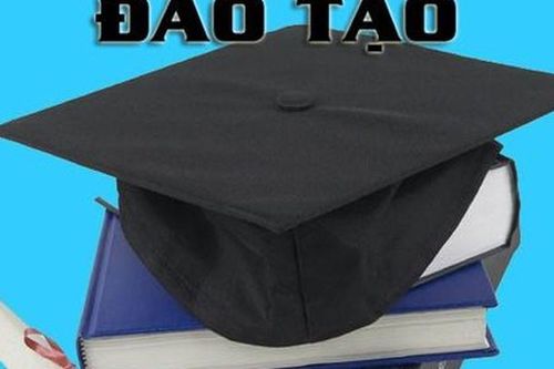 Cập nhật các chương trình đào tạo đạt tiêu chuẩn chất lượng đến 31/3