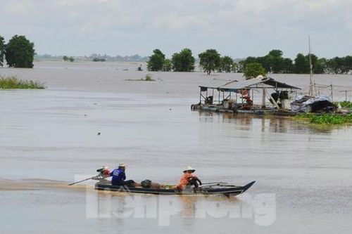 Mực nước sông Mekong cao hơn cùng kỳ nhiều năm gần đây