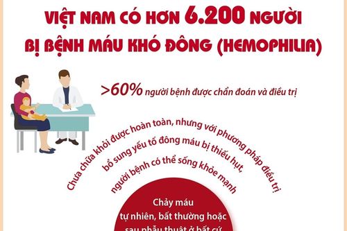 Việt Nam có hơn 6.200 người bị bệnh máu khó đông (Hemophilia)