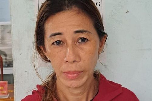 Giả vờ xin gạo rồi ra tay trộm cắp tài sản