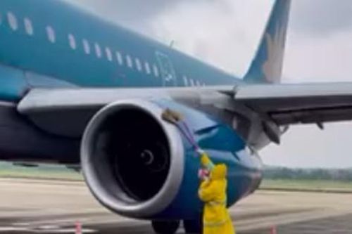 Cả đàn 'khách không mời' trong động cơ, chuyến bay đi Hà Nội phải tạm dừng