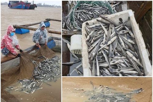 Khẩn trương khắc phục hậu quả lũ lụt