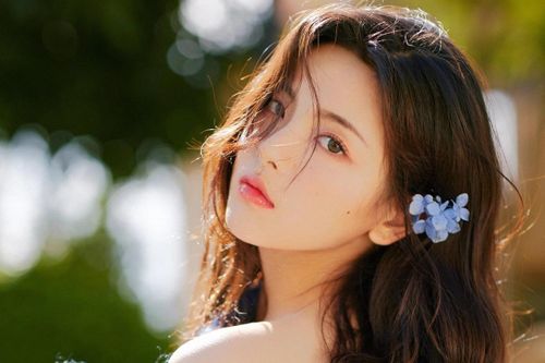 Dương Siêu Việt thắng kiện vụ bị sỉ nhục