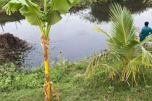 Hai chị em tử vong khi trượt chân rơi xuống suối