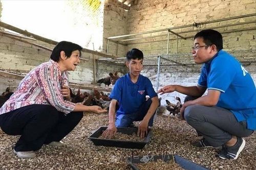 Thành công lớn từ những bước đi nhỏ