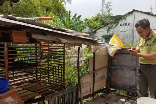 Bàn giao con khỉ đuôi lợn quý hiếm cho kiểm lâm TP Hồ Chí Minh