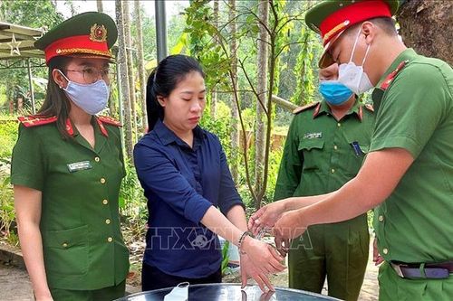Bắt nguyên Phó Chủ tịch Hội Nông dân xã lừa đảo chiếm đoạt gần 11 tỷ đồng