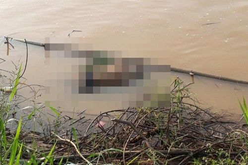 Tìm thấy thi thể nam sinh viên nổi trên sông Đồng Nai