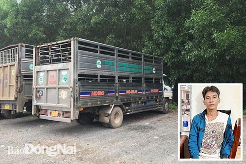 Trộm ô tô tải nhưng không thoát