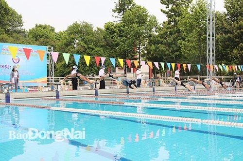 Khởi tranh Giải vô địch bơi Đại hội TDTT tỉnh lần IX