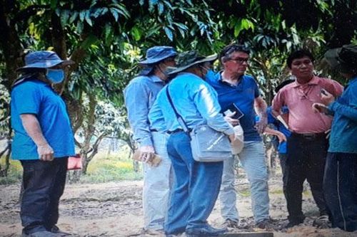 Hà Lan mong muốn hỗ trợ nông dân Đồng Tháp nâng cao chất lượng trái xoài