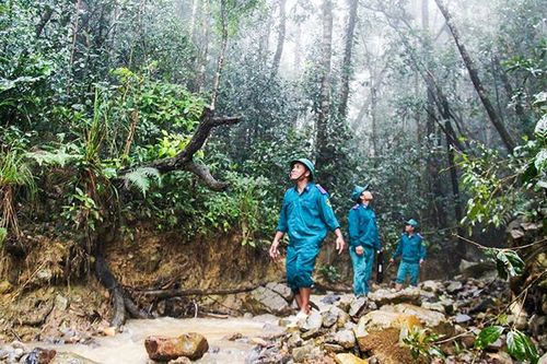 Phối hợp bảo vệ rừng giáp ranh