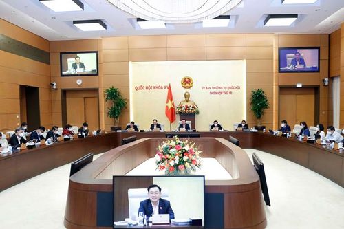 Đề xuất lược bỏ hình thức thanh tra thường xuyên trong dự án Luật Thanh tra (sửa đổi)